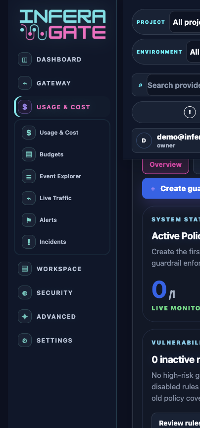 Usage and cost review in Inferagate using demo@inferagate.com