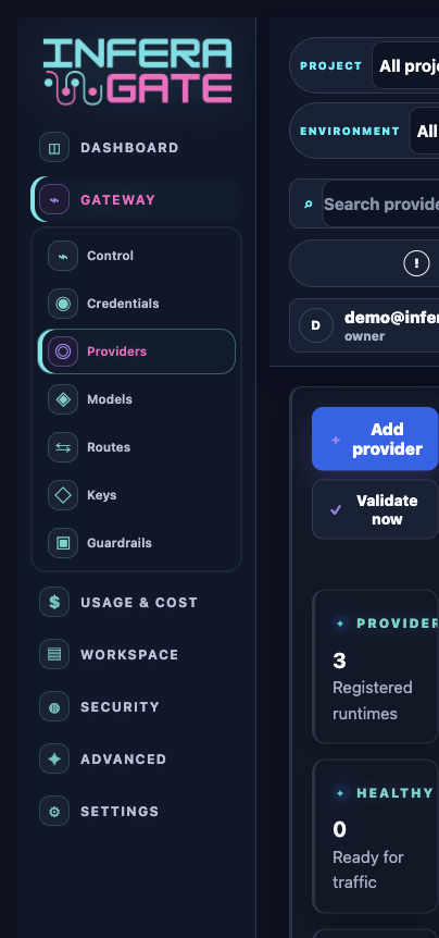 Provider setup in Inferagate using demo@inferagate.com